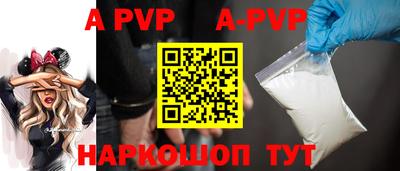 индика Гудермес