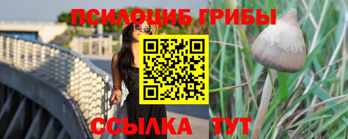Псилоцибиновые грибы прущие грибы Долгопрудный