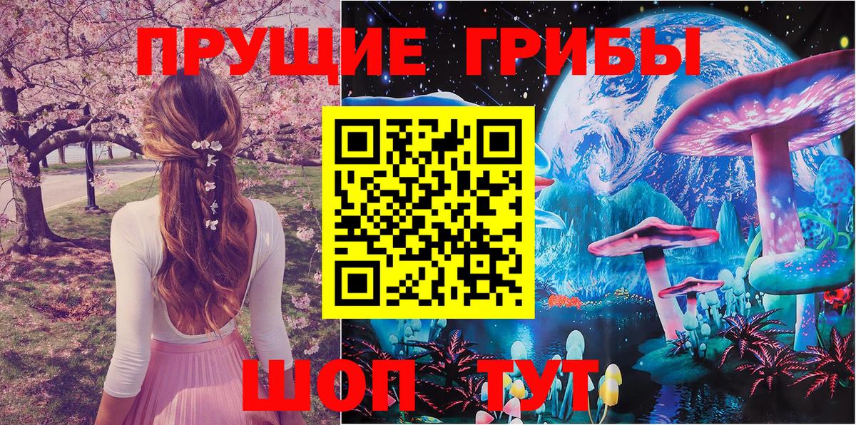 Галлюциногенные грибы Psilocybe  Псилоцибиновые грибы прущие грибы  Долгопрудный  Вход с VPN 